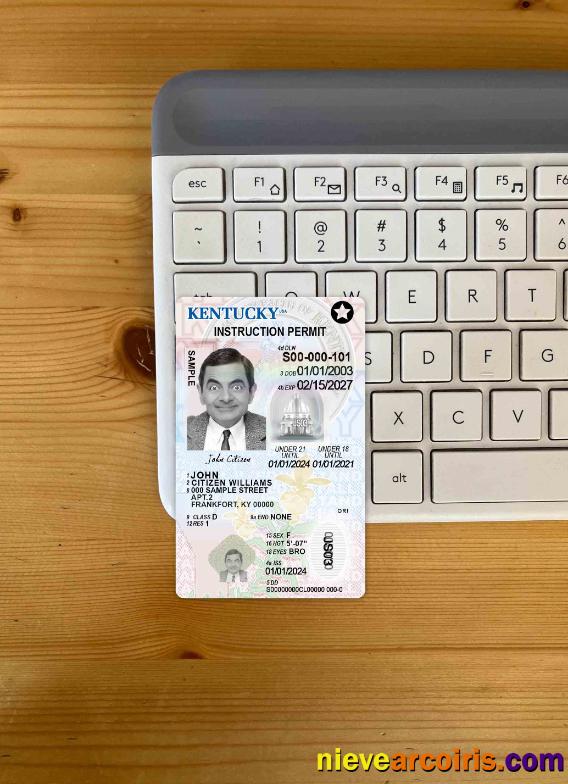 USA Kentucky driving license photolook